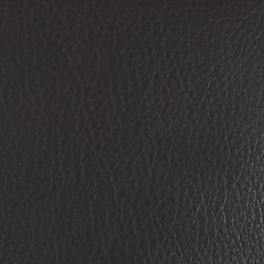 Party Time Power Reclining Sofa - World Furniture Gallery (Newark, CA)