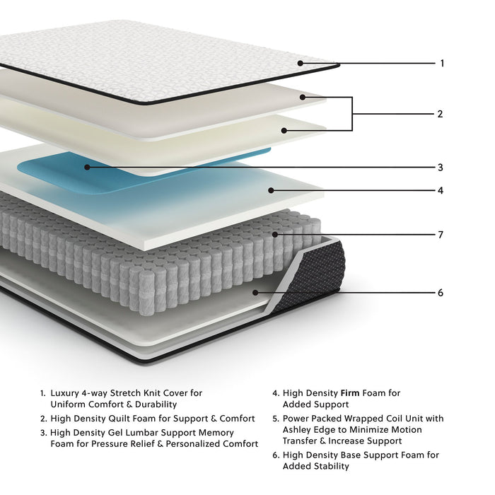 Limited Edition Firm Mattress - World Furniture Gallery (Newark, CA)