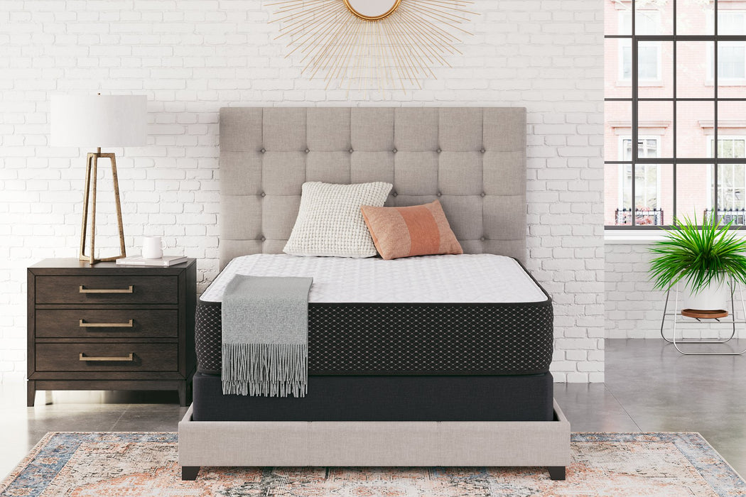 Limited Edition Firm Mattress - World Furniture Gallery (Newark, CA)
