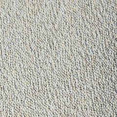 Calworth Outdoor Armless Chair with Cushion (Set of 2) - World Furniture Gallery (Newark, CA)