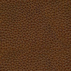 Francesca Power Reclining Sofa - World Furniture Gallery (Newark, CA)