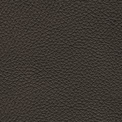 Belziani Sofa - World Furniture Gallery (Newark, CA)