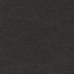 Amiata Sofa - World Furniture Gallery (Newark, CA)