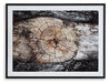 Freyburn Wall Art - World Furniture Gallery (Newark, CA)