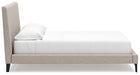 Cielden Upholstered Bed with Roll Slats - World Furniture Gallery (Newark, CA)